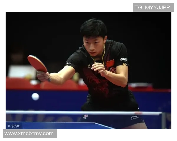 南京乒乓球队精英赛战术解析与表现评估的深度分析