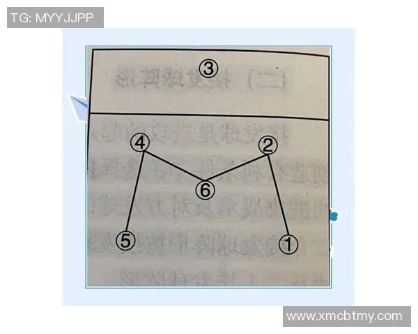 南京排球队在精英赛中的灵活性表现分析与战术探讨